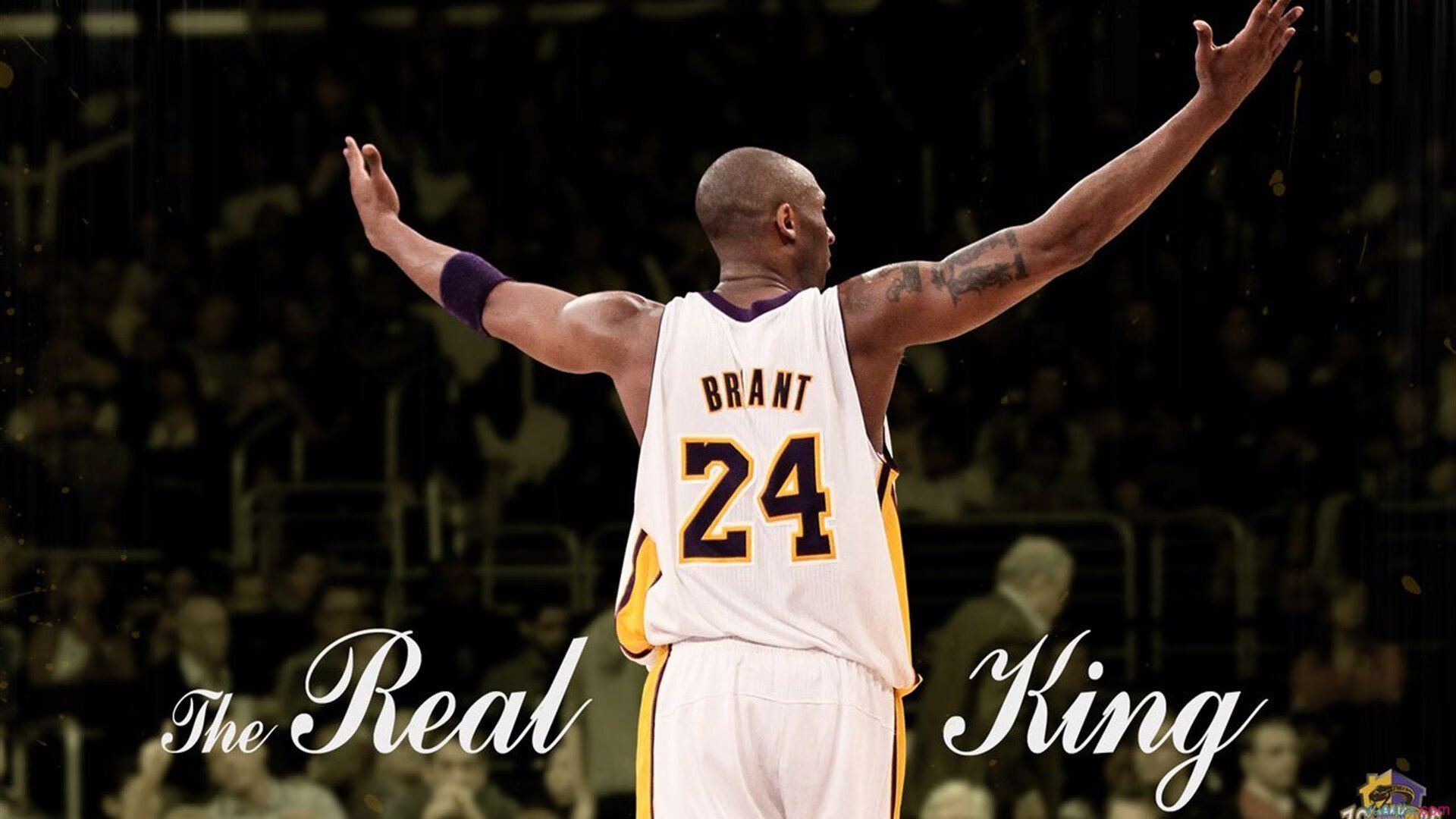 2026世界杯:新一代智能装备助力球员极限发挥!,2026年世界杯参赛队伍